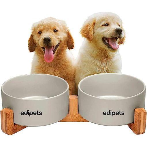 Comedero Automático Para Gatos O Perros Doble con Ofertas en Carrefour