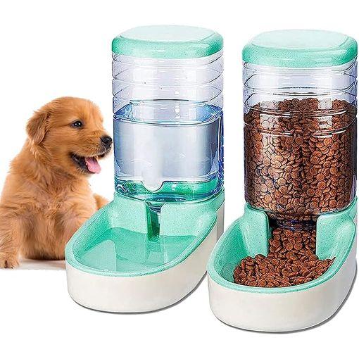 Comederos automáticos para perros y gatos: cuál es la mejor opción