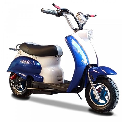 Moto Vespa Style Eléctrica 36v 300w Azul - Moto Eléctrica Infantil De  Batería Para Niños con Ofertas en Carrefour