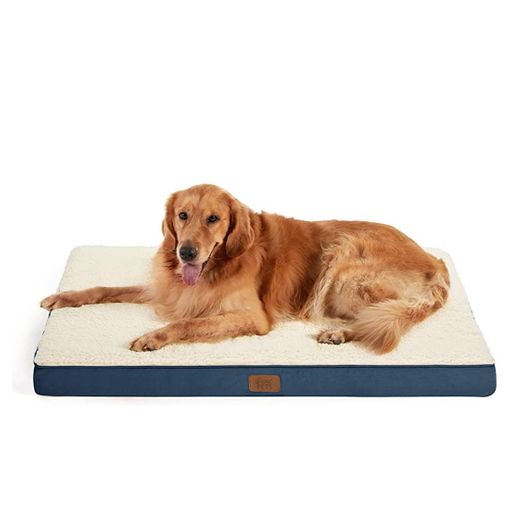 Cama Perro Ortopédica Grande Azul Y Blanco - Colchón Lavable Con