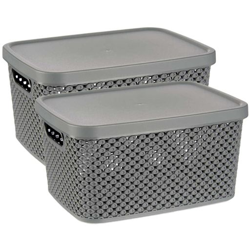 Caja de Ordenación con Tapa Plástico CARREFOUR 45 l