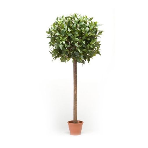 Árbol De Bambú Artificial Con 552 Hojas Verde 120 Cm Vidaxl con Ofertas en  Carrefour