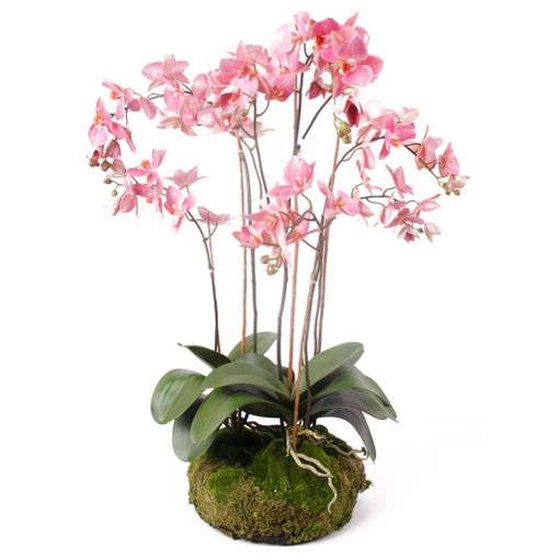 Comprar orquídea artificial en la tienda online de artplants