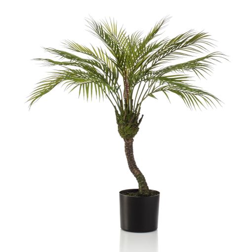 Palmera Artificial Chamaedorea En Maceta 85 Cm Emerald con Ofertas en  Carrefour