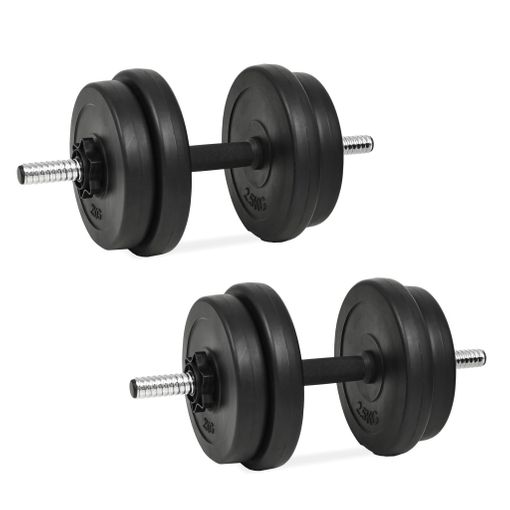 Mancuernas Pesas De Disco 10kg + 10kg 20kg Total Fitness Musculación  Gimnasio Pesos Plásticos con Ofertas en Carrefour