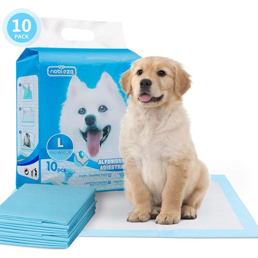 Primematik - 20 Empapadores Absorbentes De 60 X 90 Cm. Toallas De  Entrenamiento Para Perros Cachorros Ma15300 con Ofertas en Carrefour