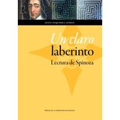 Un Claro Laberinto