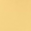 Viva Yellow