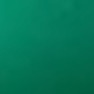 Vert forêt