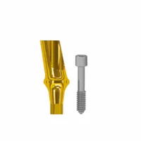 Abutment Cimentado Angulado 17° CM Epikut-Strong