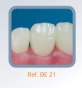 Dente Diferenciado para Manequim de Estudo 21