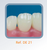 Dente Para Manequim De Dentística 21