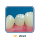 Dente Para Manequim De Dentística 22