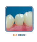 Dente Diferenciado para Manequim de Estudo 22