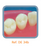 Dente Para Manequim De Dentística 34