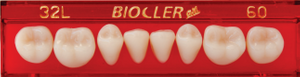 Dente Biocler Anterior Inferior - 2D (66)