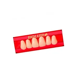 Dente Biocler Anterior Superior - 263 (62)