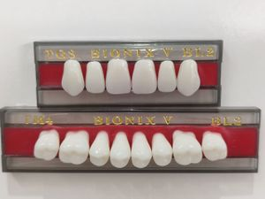 Dente Bionix V Anterior Superior