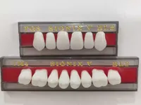 Dente Bionix V Anterior Superior