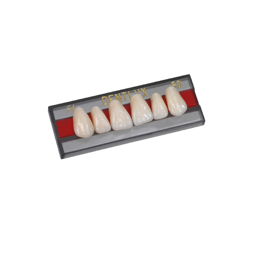 Cerâmica em Pastilha Rosetta SP HT R10 - Dental Teresina