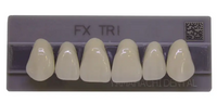 Dente FX TRI Anterior Superior