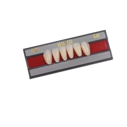 Cerâmica em Pastilha Rosetta SP HT R10 - Dental Teresina