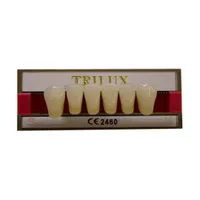 Dente Trilux Anterior Inferior