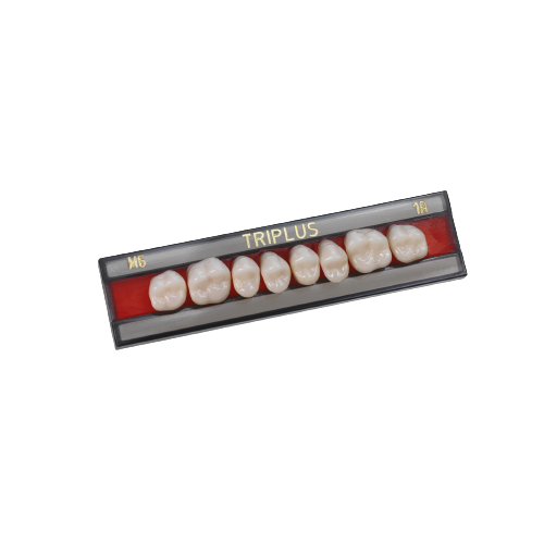 Cerâmica em Pastilha Rosetta SP HT R10 - Dental Teresina