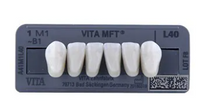 Dente Vita MFT Anterior Inferior