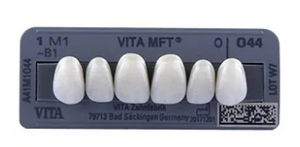 Dente Vita MFT Anterior Inferior