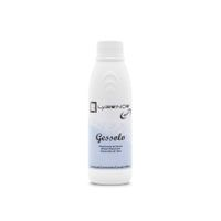 Solvente de Gesso GessoLV