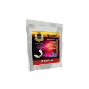 Gesso Especial Tipo IV Number 1 1kg