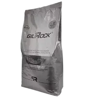 Gesso Sintético Gilrock HS Branco - 5kg