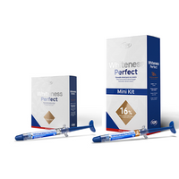 Kit Clareador Whiteness Perfect 10% - Grátis 1 Mini Kit Perfect 16%