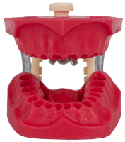 Manequim Endodontia Cirurgia Prof Dirceu Orais