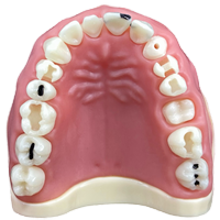 Manequim Materiais Dentarios 217 Supn Estacio 