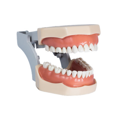 Brinquedo Sinuca na Solapa 25cm - Dental Integra