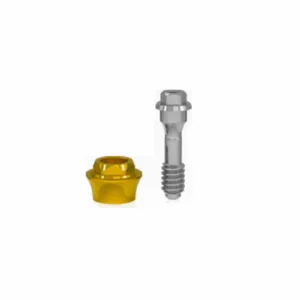 Mini Abutment Reto HE Epikut-Strong-Tryon