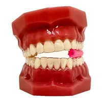 Mordedor Power Aligner Rosa para 8 Dentes