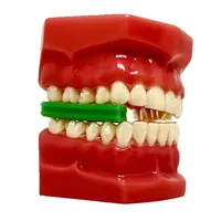 Mordedor Power Aligner Verde para 4 Dentes