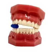 Mordedor Power Aligner Azul para 10 Dentes