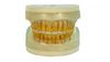 Refil Periodontia I AC104 