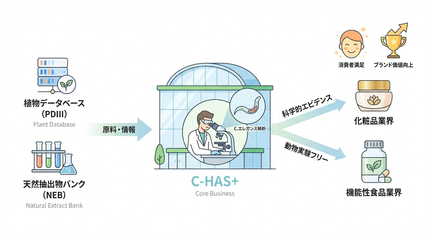 分析イメージ