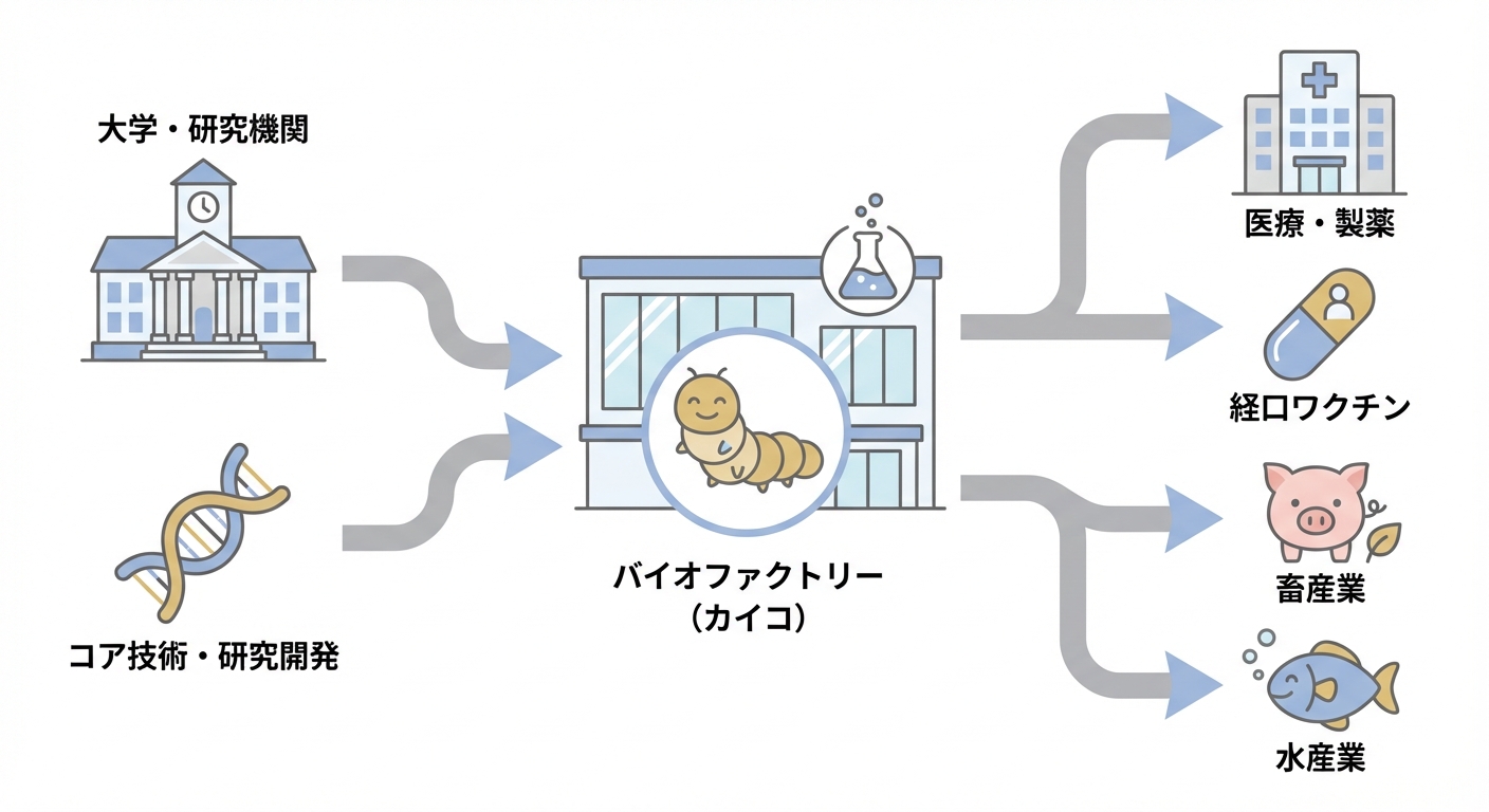 分析イメージ