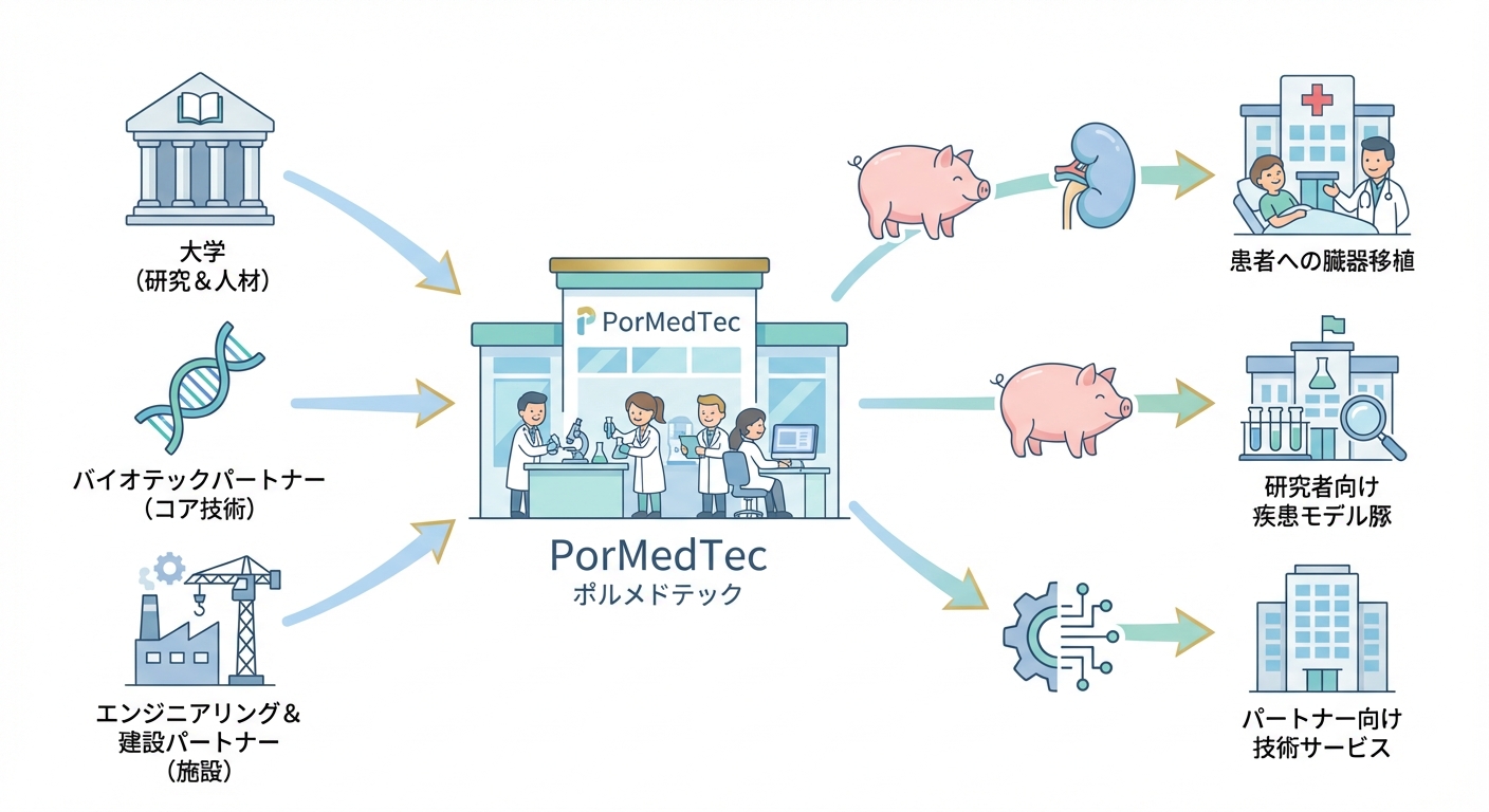 分析イメージ