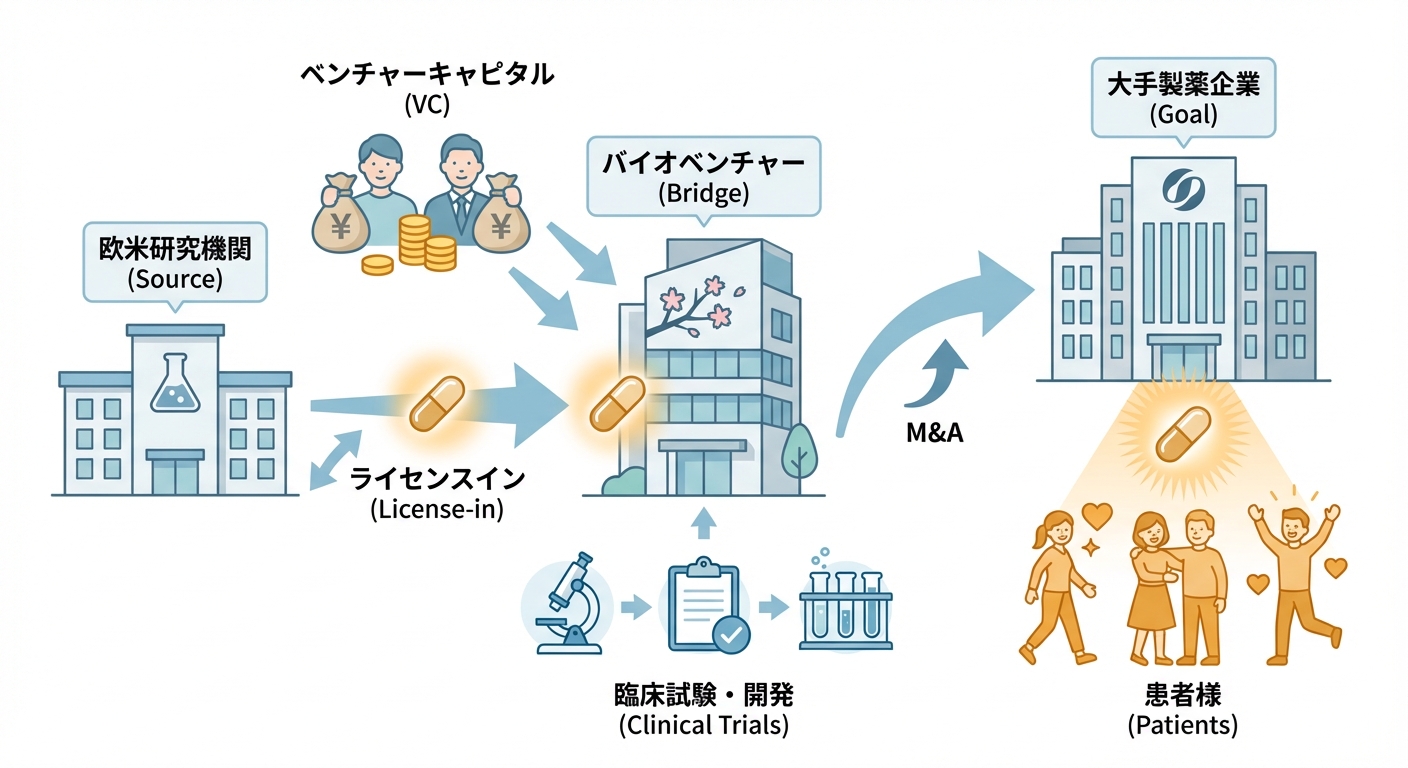 分析イメージ