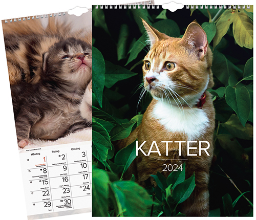 Kattkalender 2024