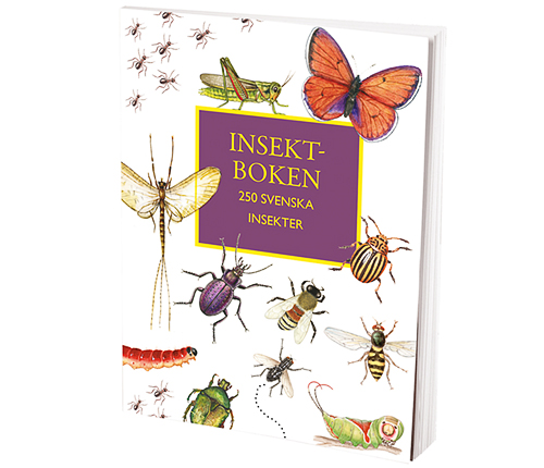 Insektsboken: 250 svenska insekter