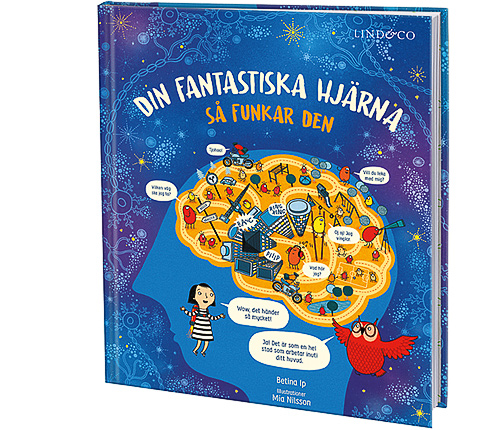 Din fantastiska hjärna – så funkar den