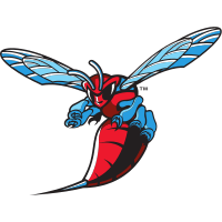 Delaware St. logo